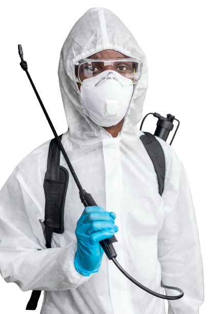PestGini – Herbal & Eco-Friendly Pest Control in Pune