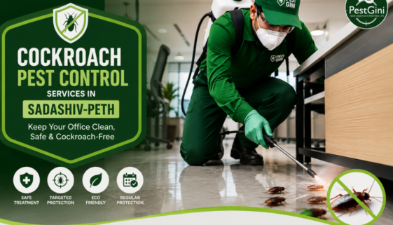 Cockroach Pest Control Services in Sadashiv-Peth