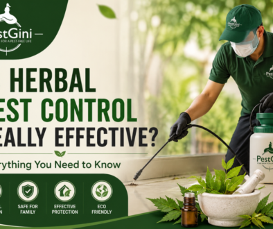 Herbal Pest Control
