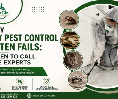 Residential Pest Control Services in Pune